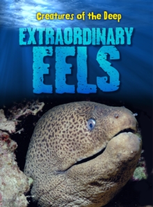 Image for Extraordinary eels