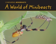 Image for A world of minibeasts