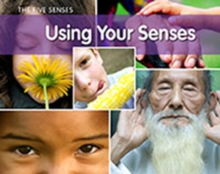 Image for Using Your Senses