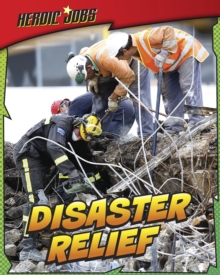Image for Disaster relief