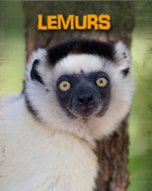 Image for Lemurs