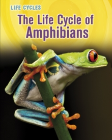 Image for The life cycle of amphibians