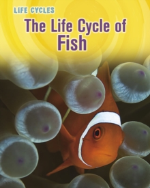 Image for The life cycle of fish