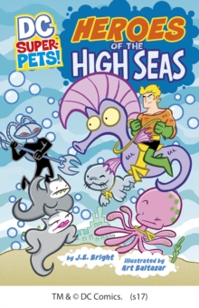 Image for Heroes of the High Seas