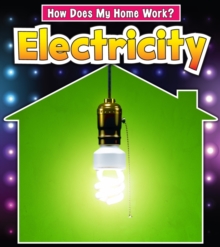 Image for Electricity