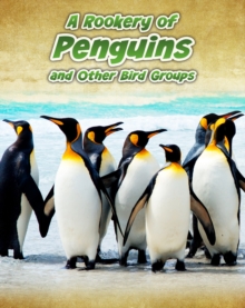 Image for A Rookery of Penguins