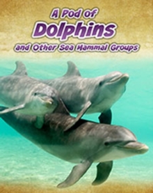Image for A pod of dolphins and other sea mammal groups