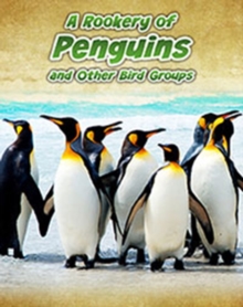Image for A Rookery of Penguins