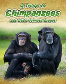 Image for A Troop of Chimpanzees