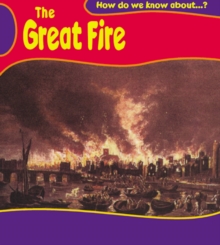 Image for How do we know about the Great Fire of London?