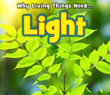Image for Why living things need-- light