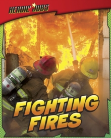 Image for Fighting fires