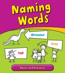 Image for Naming words: nouns and pronouns