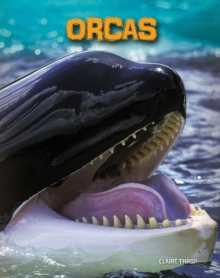 Image for Orcas