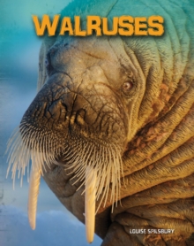 Image for Walruses
