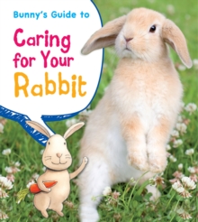 Image for Bunny's guide to caring for your rabbit