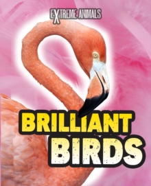 Image for Brilliant birds