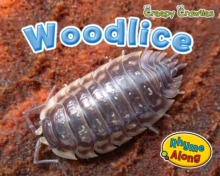 Image for Woodlice