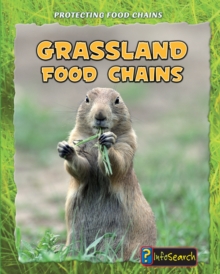 Image for Grassland Food Chains