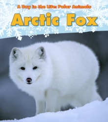 Image for Arctic fox