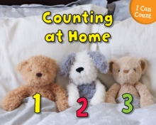 Image for Counting at home