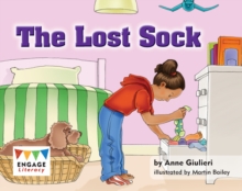 Image for The Lost Sock (6 Pack)