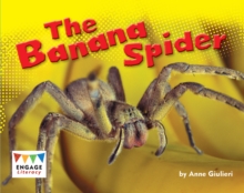 Image for The banana spider