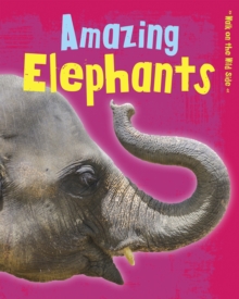 Image for Amazing elephants