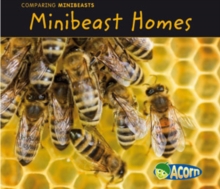 Image for Minibeast Homes