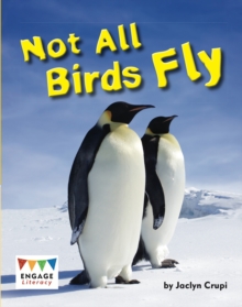 Image for Not All Birds Fly : Pack of 6