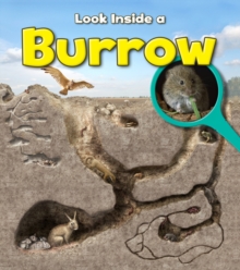Image for Look inside a burrow