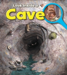Image for Look inside a cave