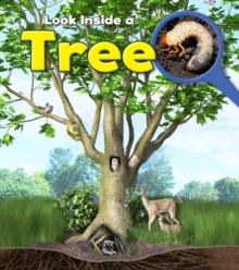 Image for Look inside a tree