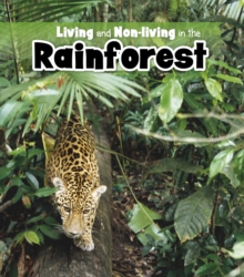 Image for Living and non-living in the rainforest