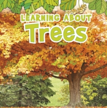Image for Learning about trees