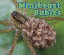 Image for Minibeast babies