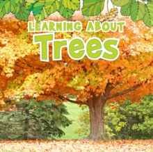 Image for Learning about trees