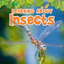 Image for Learning about insects