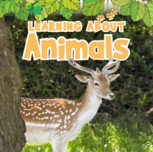 Image for Learning about animals