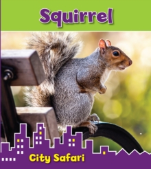 Image for Squirrel