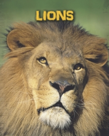 Image for Lions