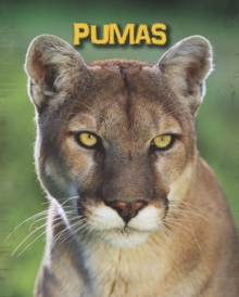 Image for Pumas