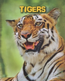 Image for Tigers