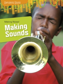 Image for Making noise!: making sound