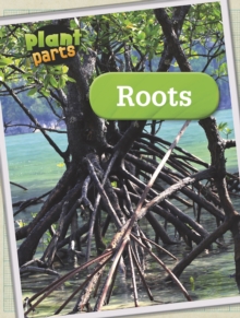 Image for Roots