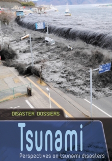 Image for Tsunami: perspectives on tsunami disasters
