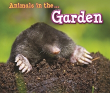 Image for Animals in the Garden