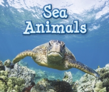 Animals in their Habitats Pack A of 6