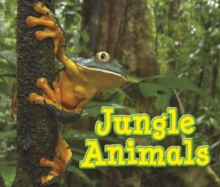 Image for Jungle animals