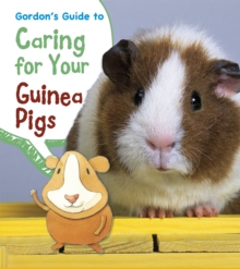 Image for Gordon's guide to caring for your guinea pigs